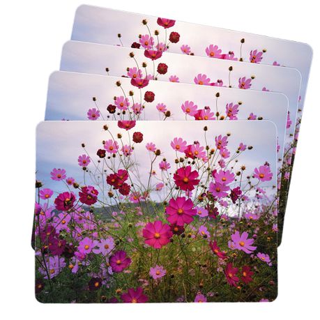 Pink Cosmos Placemats By Mark van Vuuren