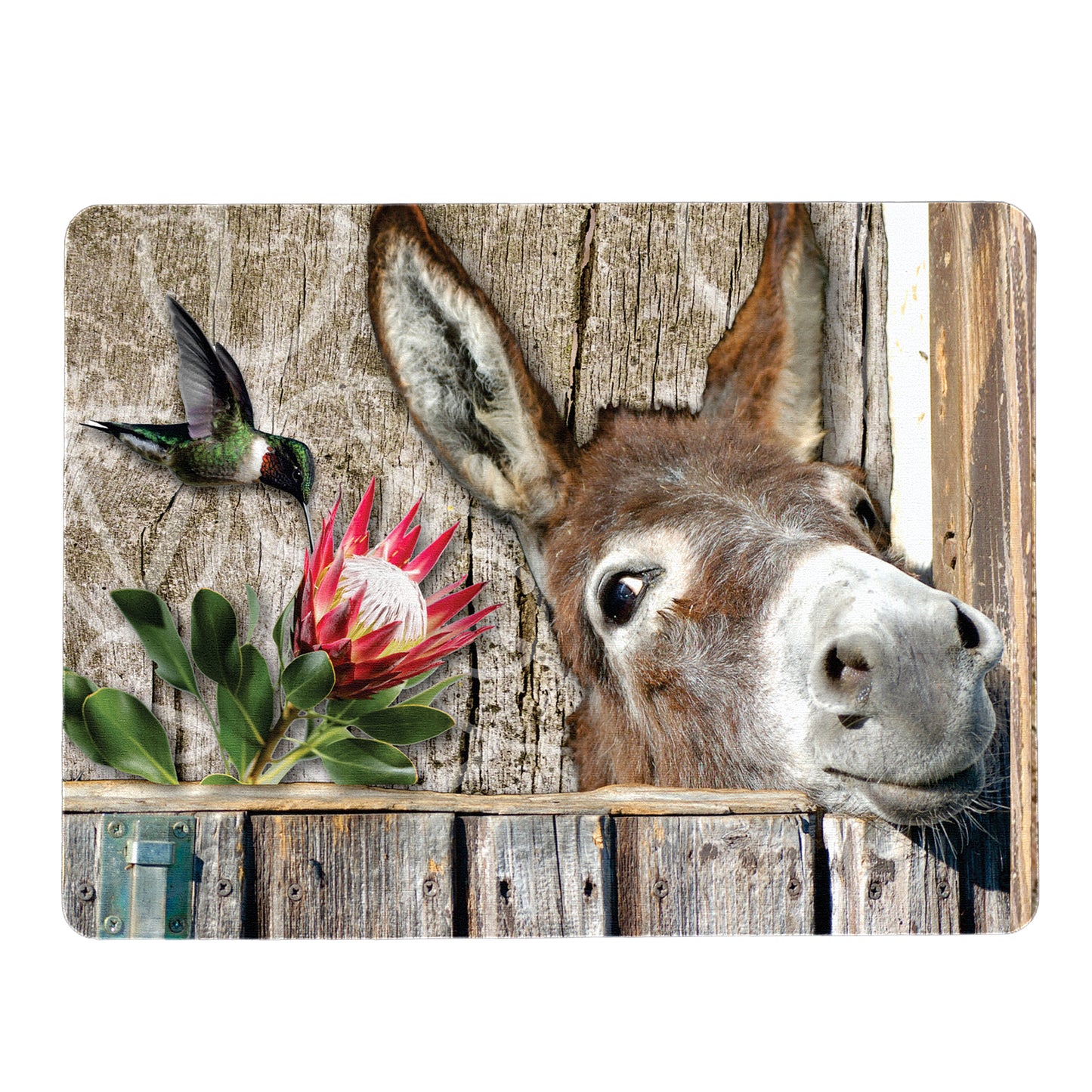 Protea Donkey Mouse Pad
