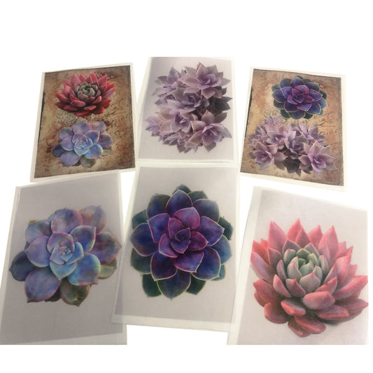 Succulents Decoupage A4 or A5