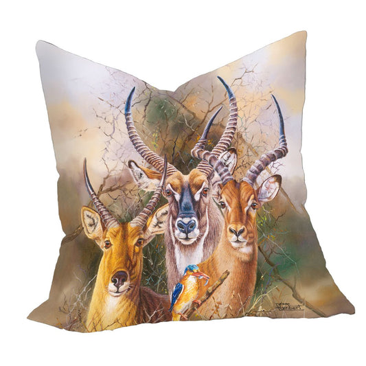 The Plains Waterbuck Luxury Scatter By Delene Lambert