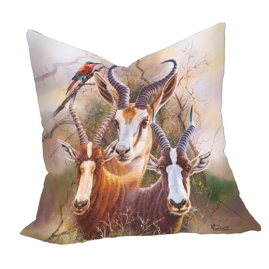 The Plains Springbok Luxury Scatter By Delene Lambert