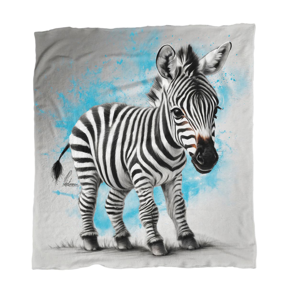 Blue Baby Zebra Minky Blanket By Nathan Pieterse